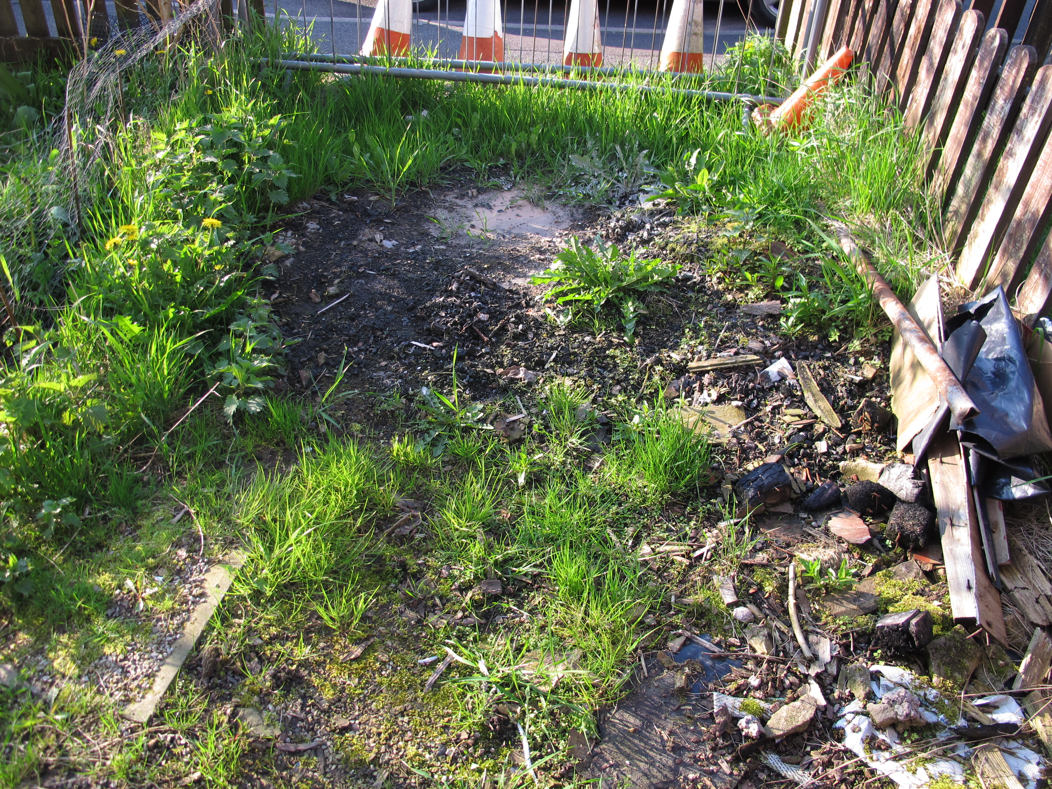 No dig gardening Gardening no dig style