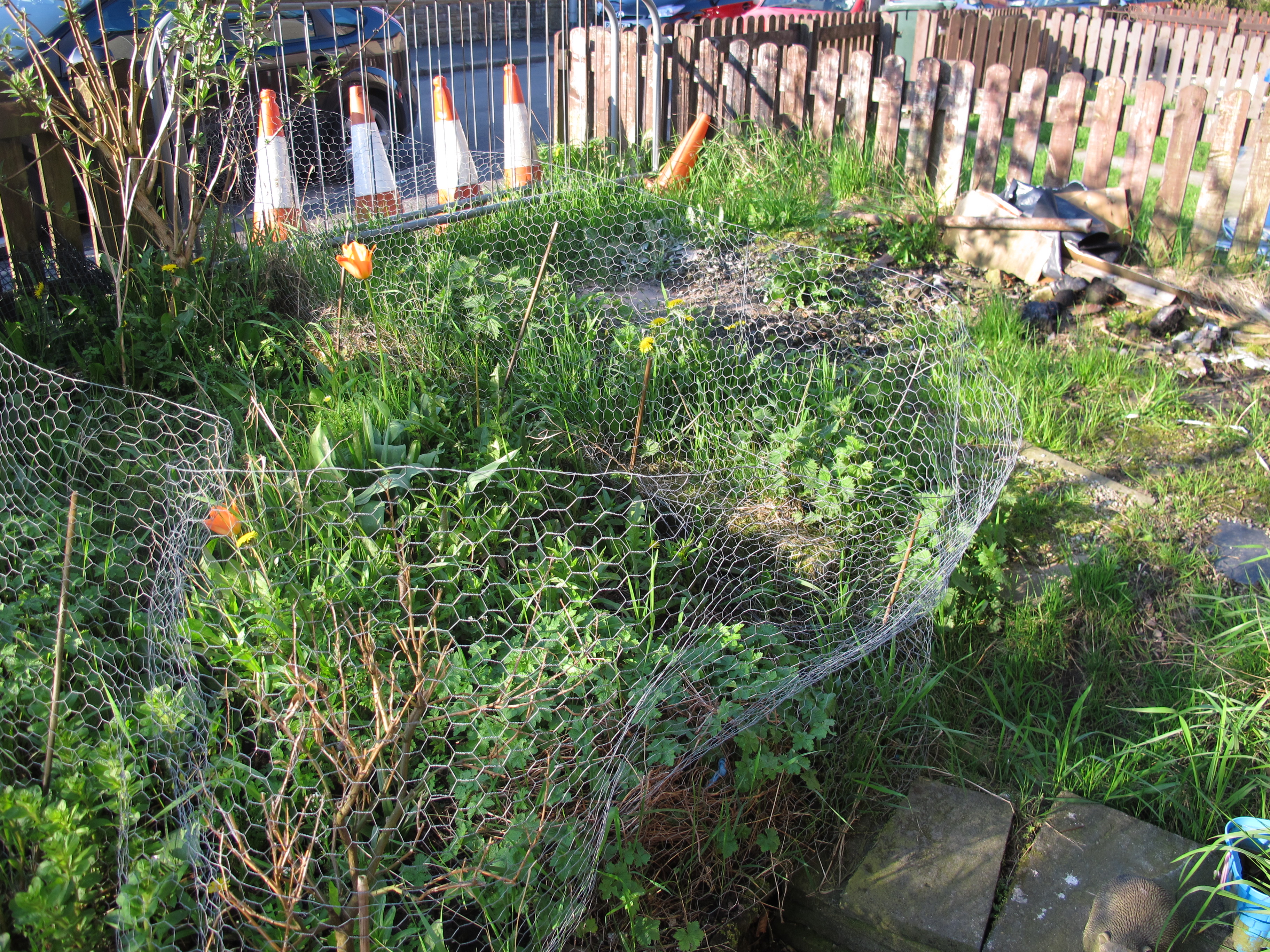 No dig gardening Gardening no dig style