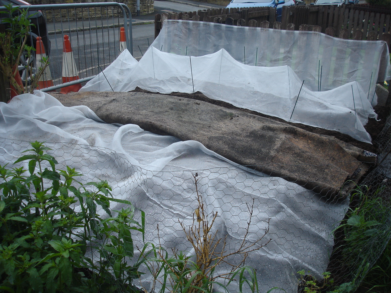 No dig gardening planting out Gardening no dig style